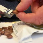 article image - seed1